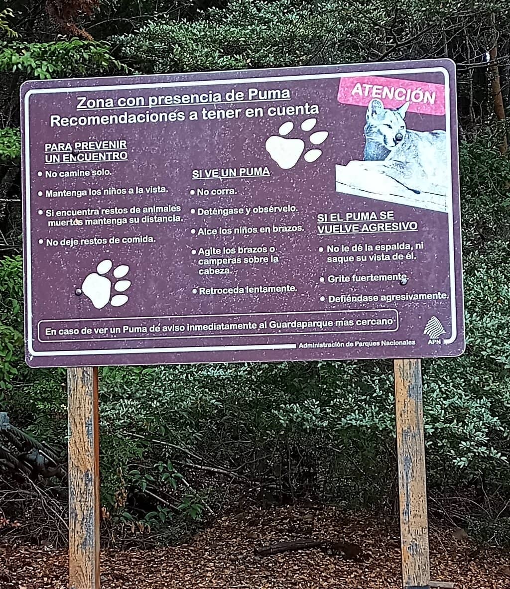 Arrayanes River Footbridge Trail