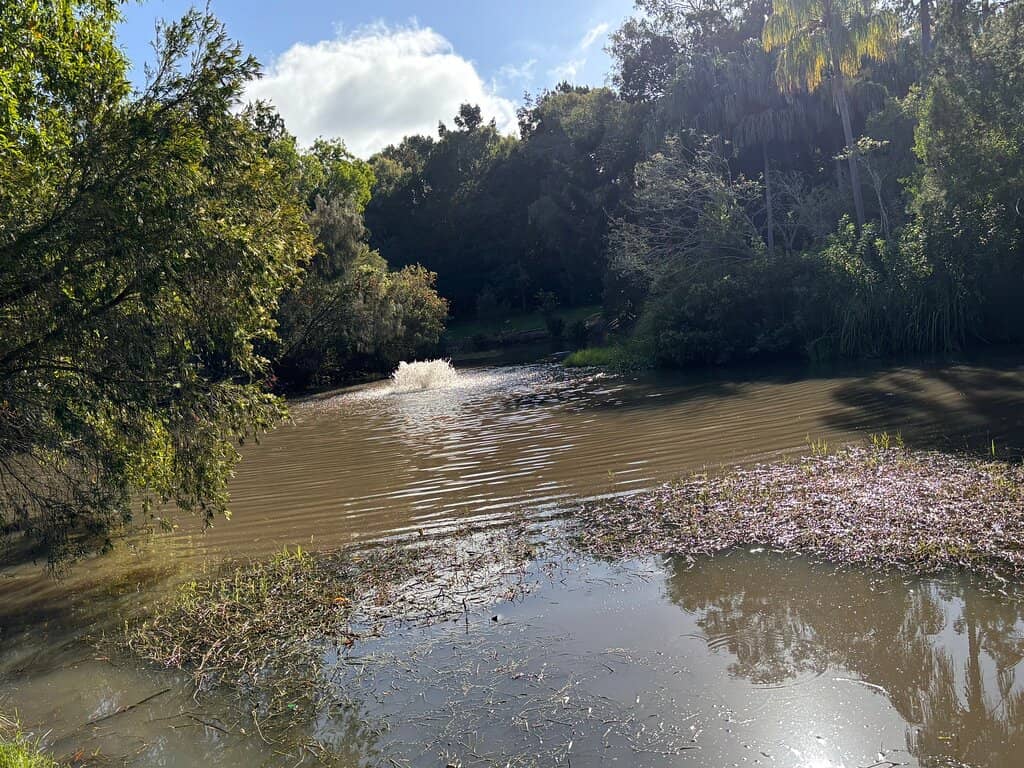 Rainforest Walk & Labyrinth