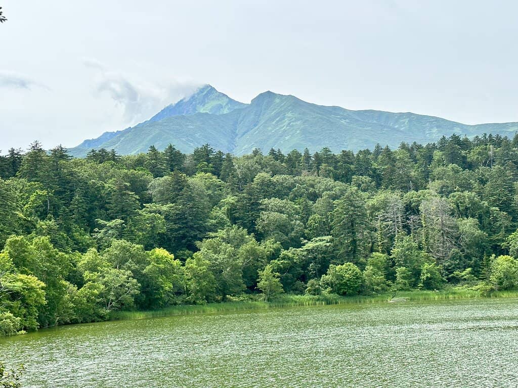 Seasonal Snow-Capped Peaks