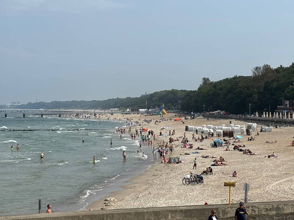 Ocean Life Encounters