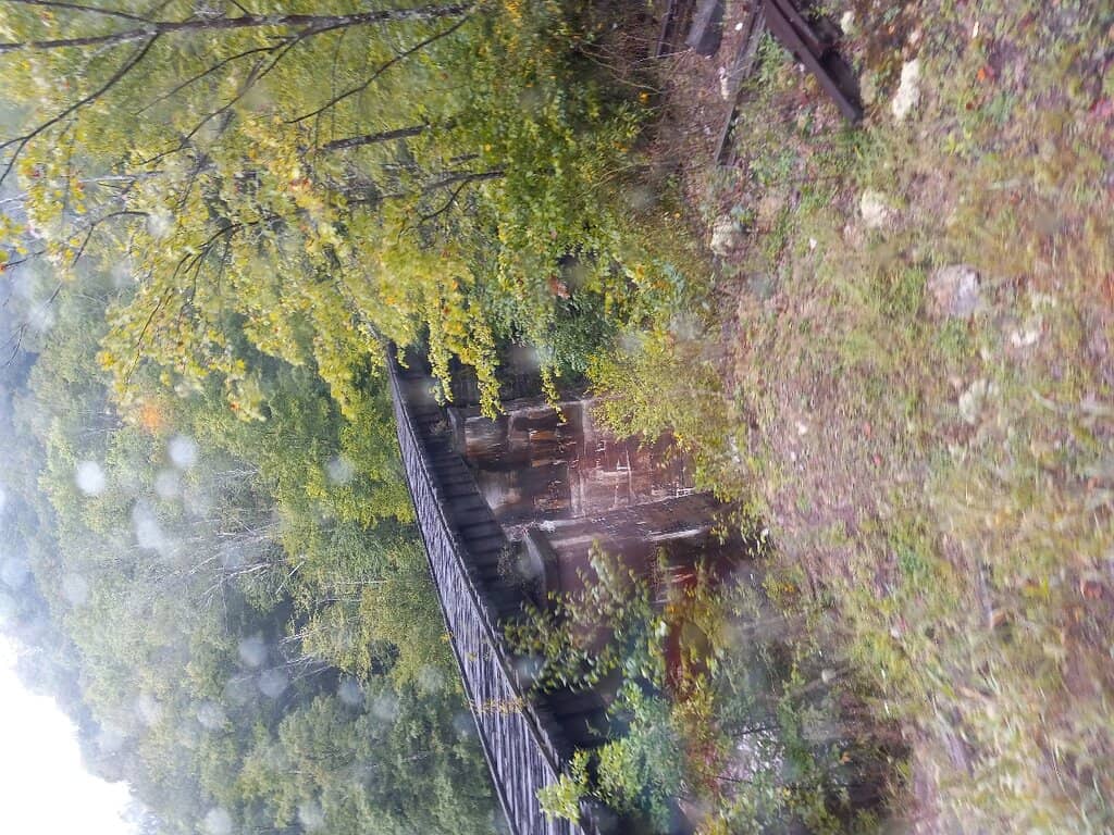 Vintage Train Experience