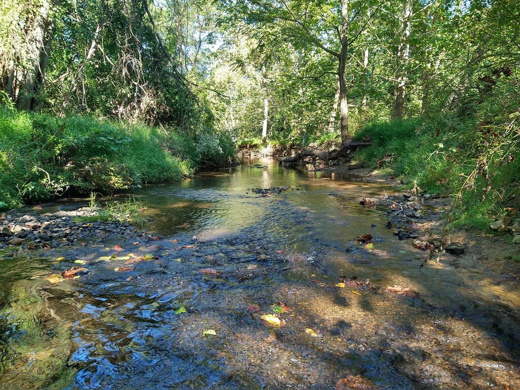 Nature Trails & Water Features