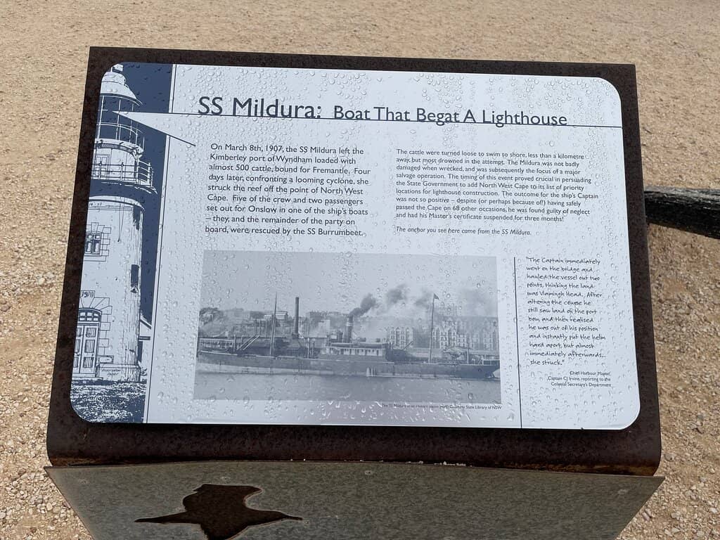 Whale Watching Opportunities