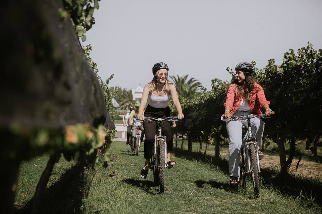 Wine Tasting Experience