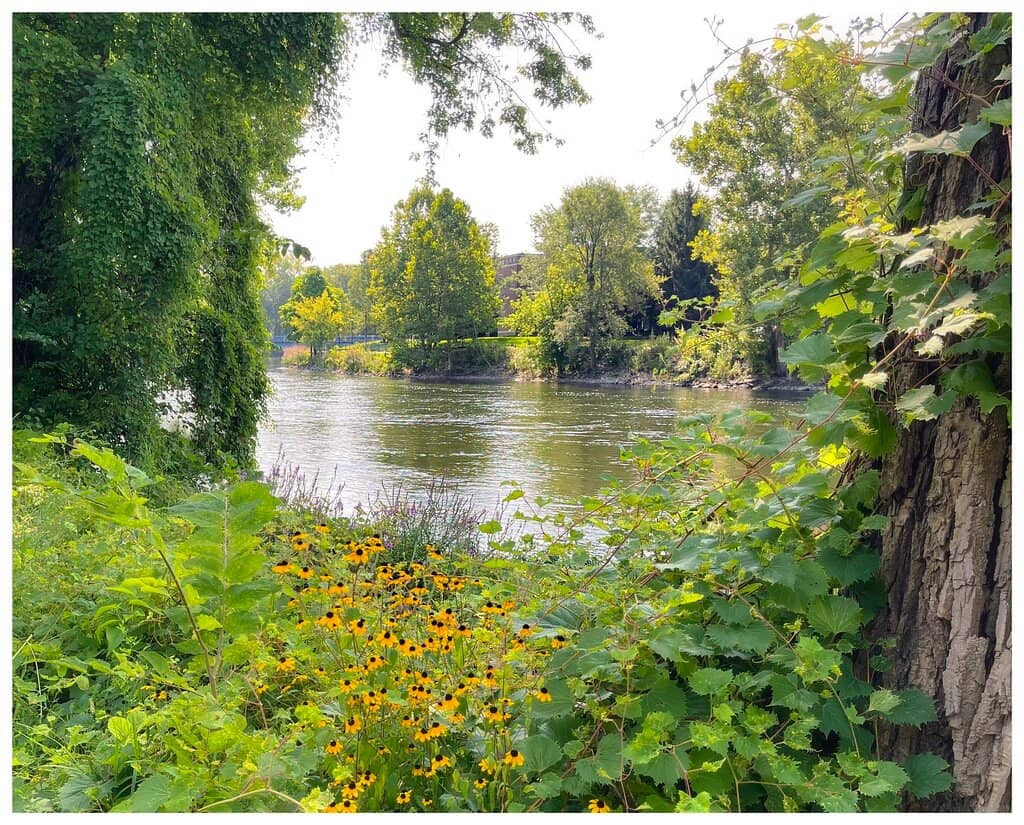 Playgrounds & Water Park