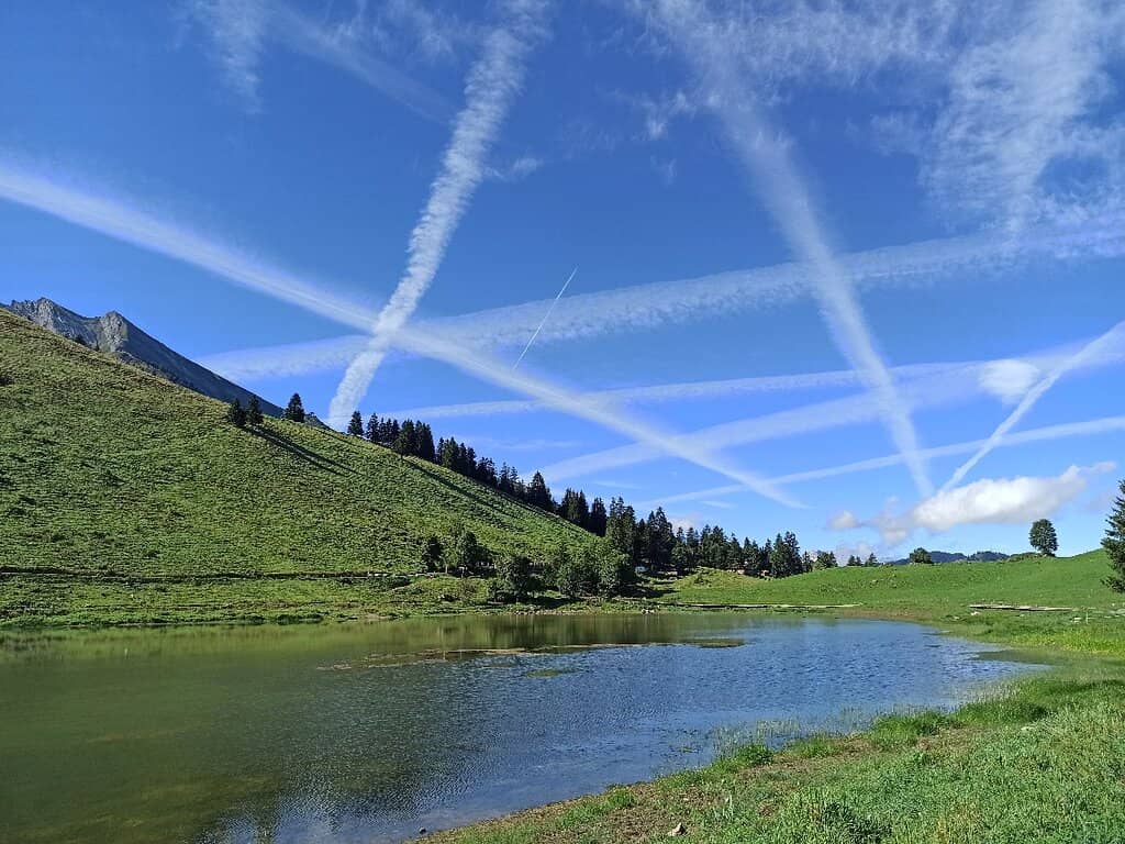 Ice Diving Experience