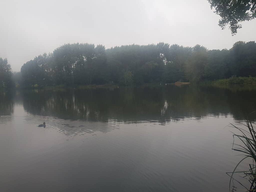 Wooded Walking Trails