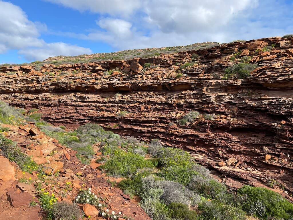 Scenic Coastal Trails