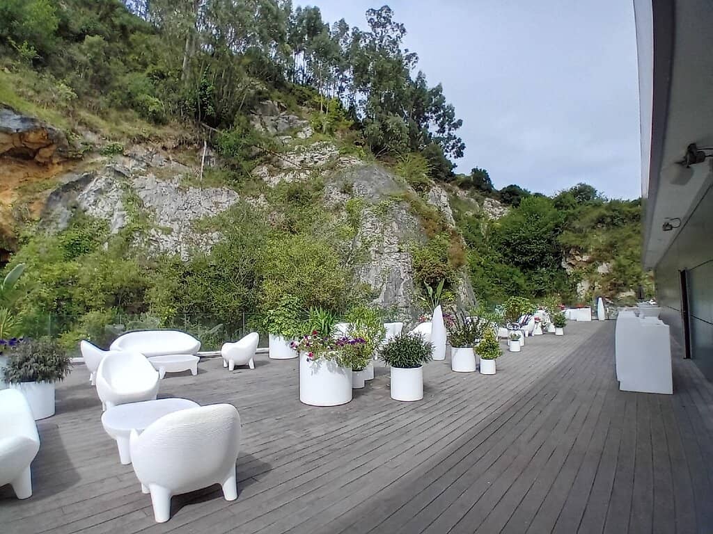 Prehistoric Life Explanations