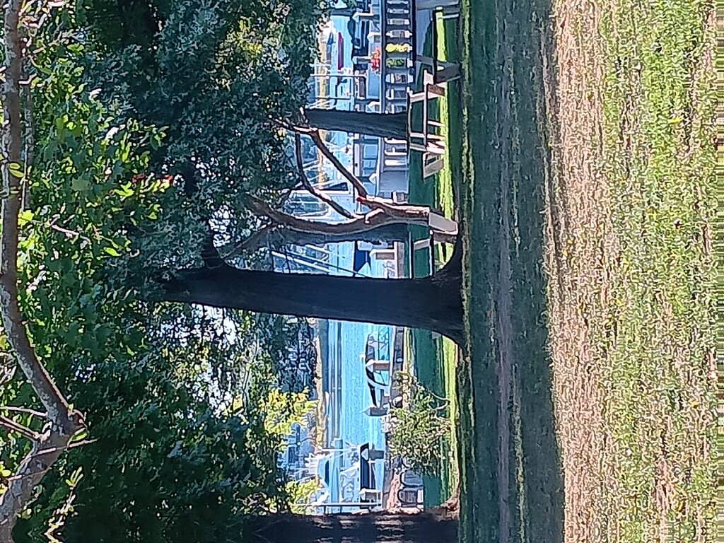 Vibrant Downtown Area