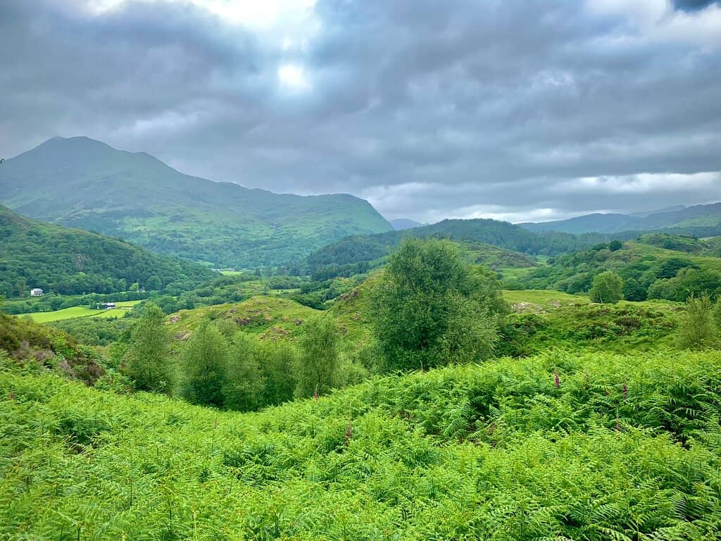 Dinas Emrys Mountain