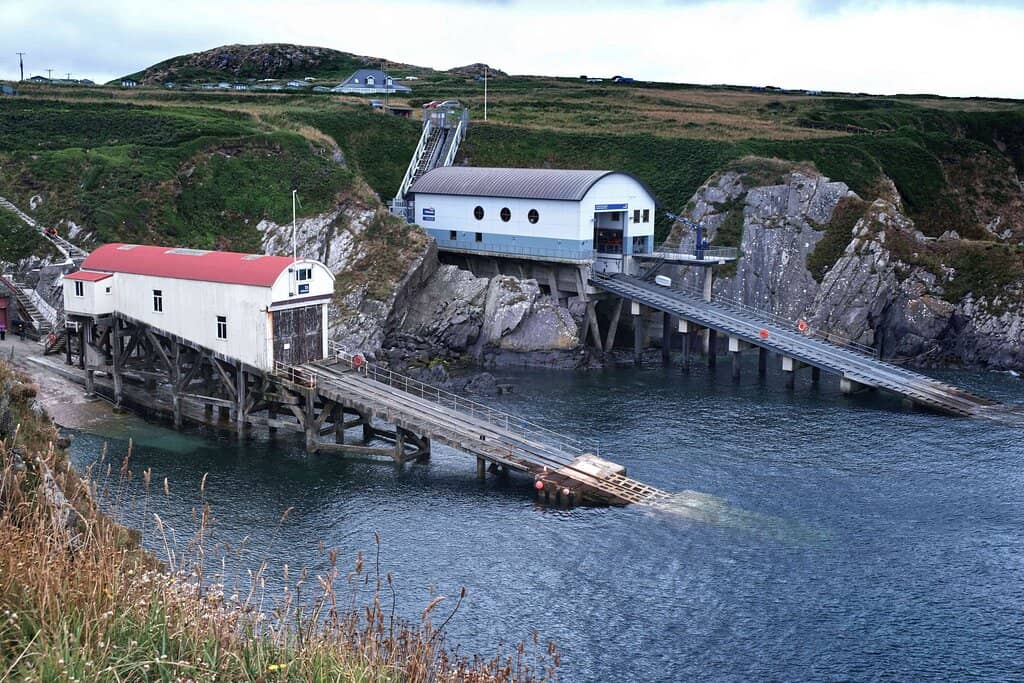 Ramsey Island Boat Trips