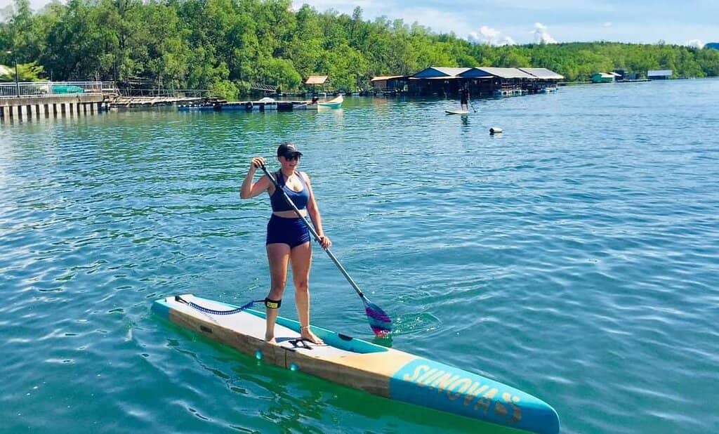 Mangrove Forest Exploration