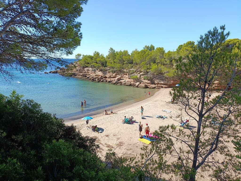 Rocky Coastal Beauty
