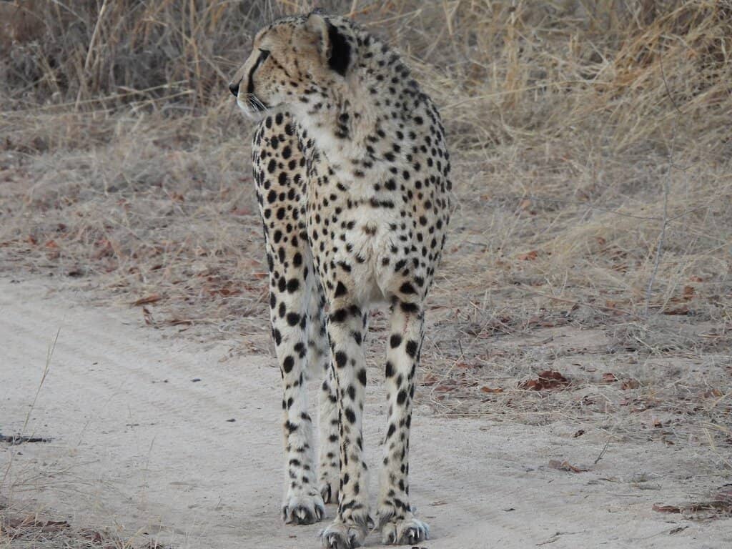 Birdwatching Paradise