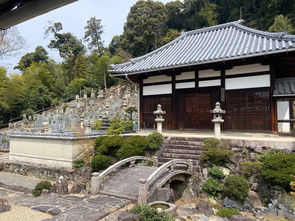 Moss-Covered Serenity