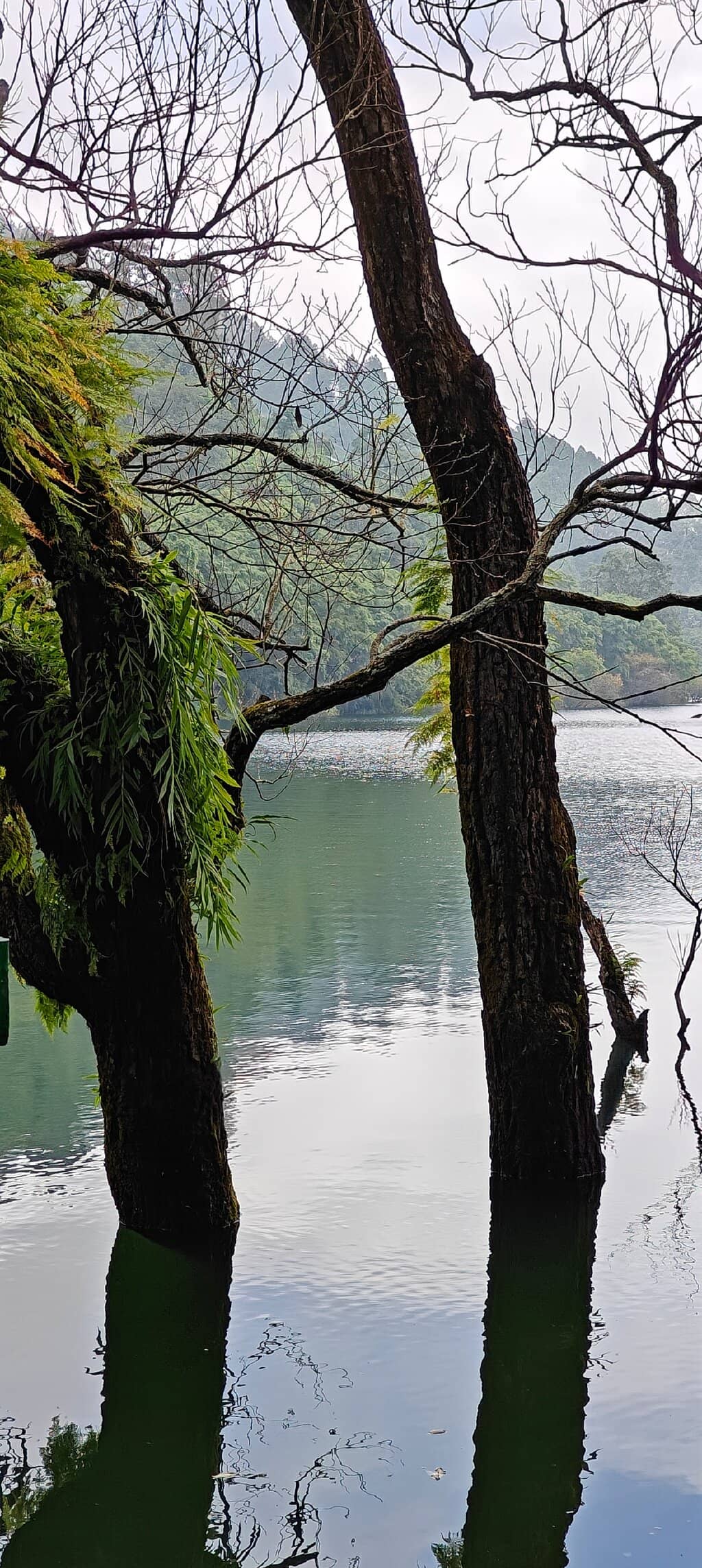 Boating and Water Sports