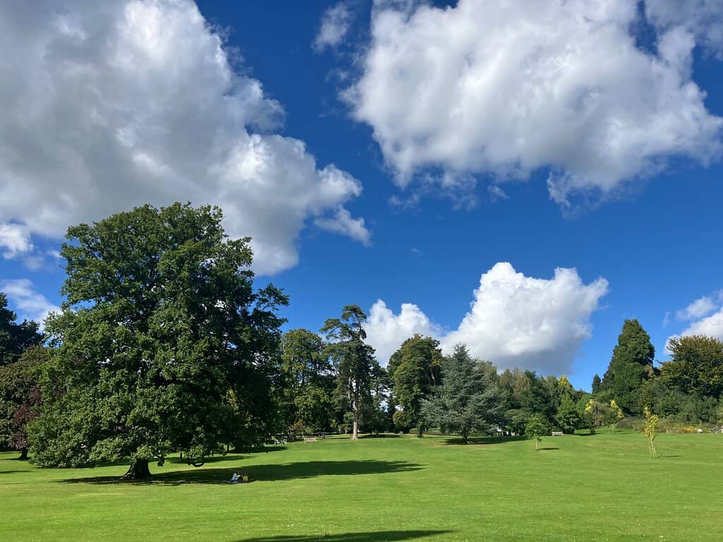 Adventure Playground Fun