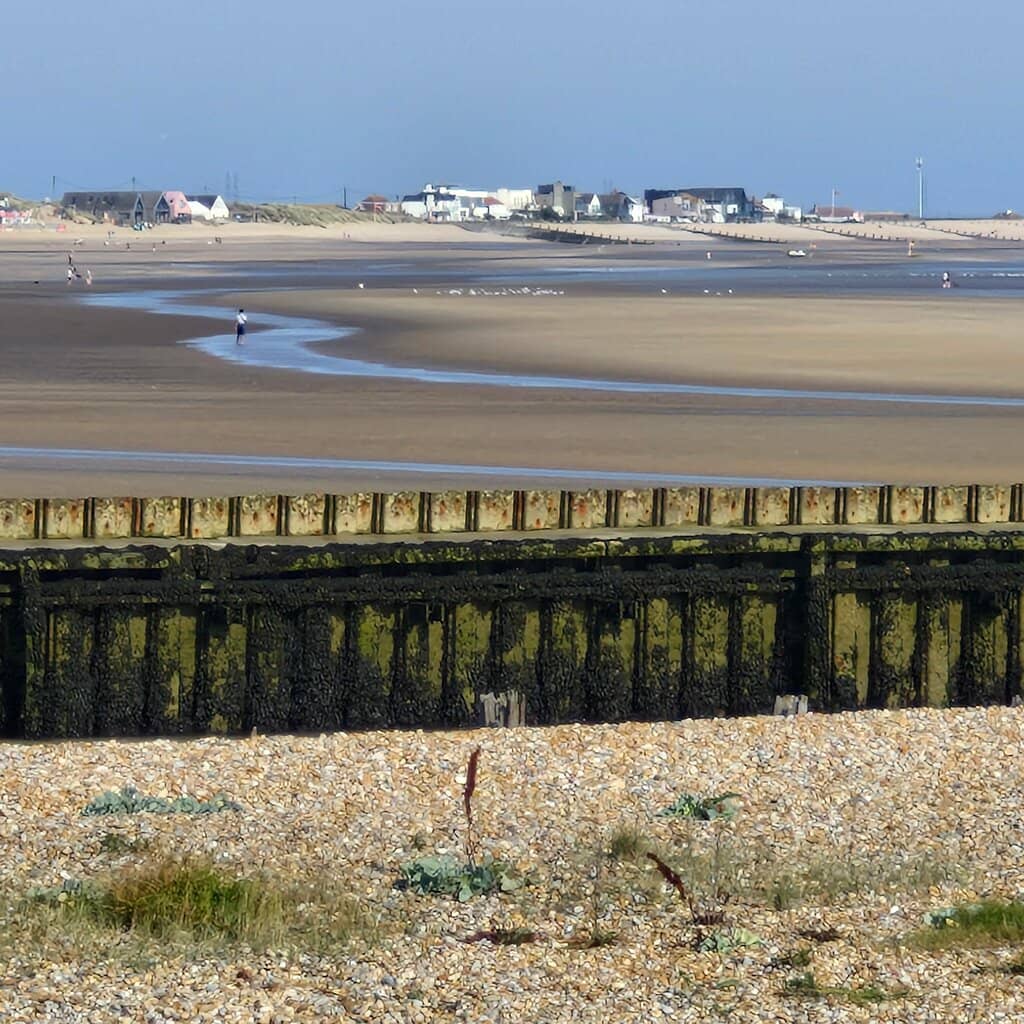 Bird Watching Opportunities