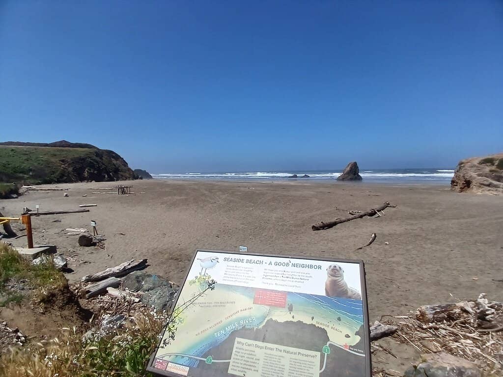 Expansive and Uncrowded Sands