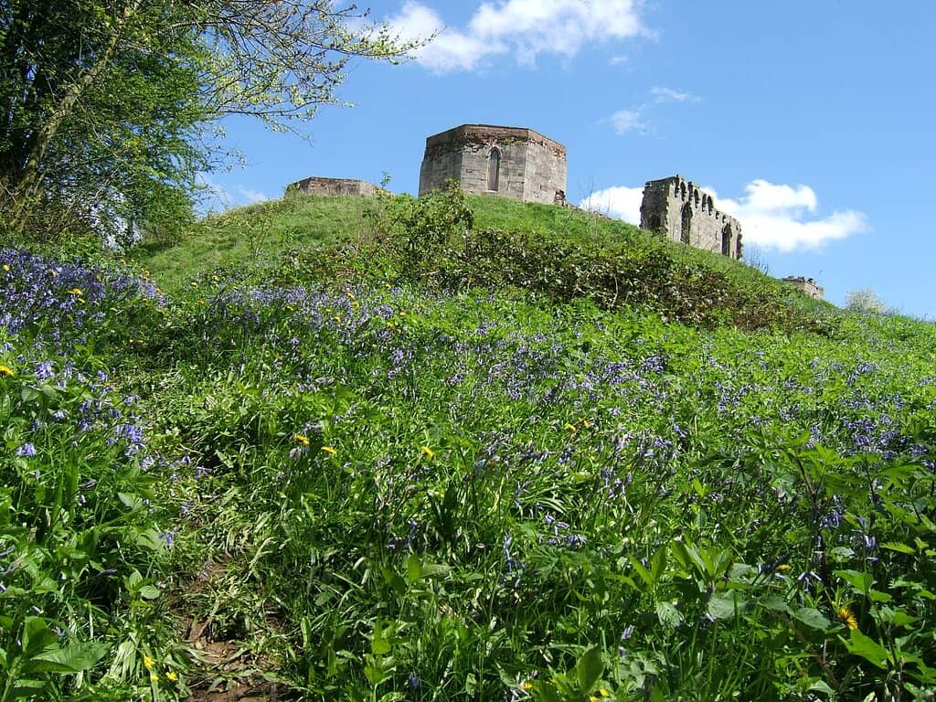 Scenic Walks and Views