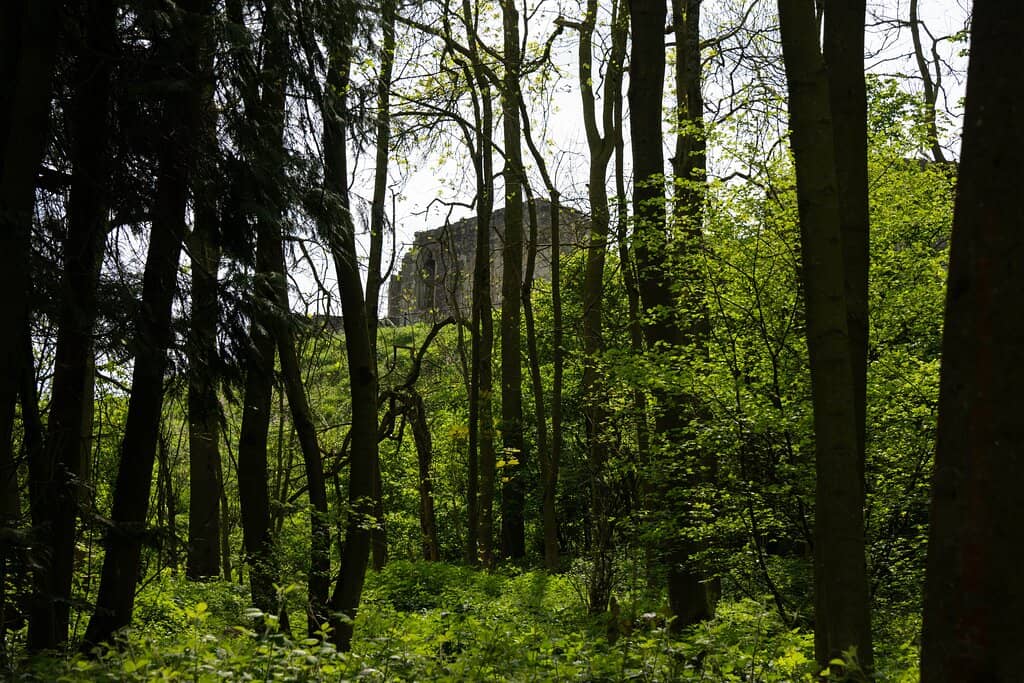 Visitor Centre & Museum