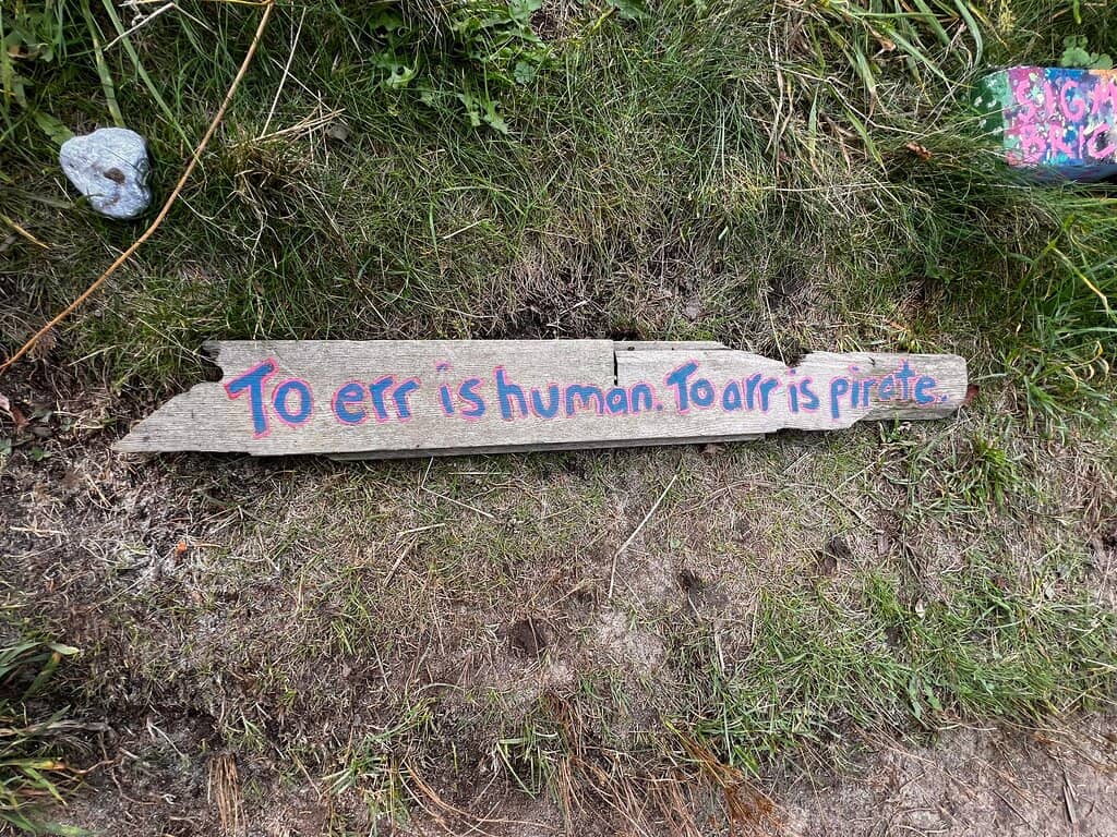 Hand-Painted Shell Jokes