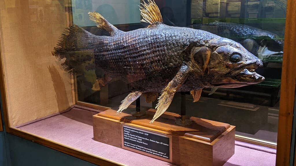 People of the Eastern Cape