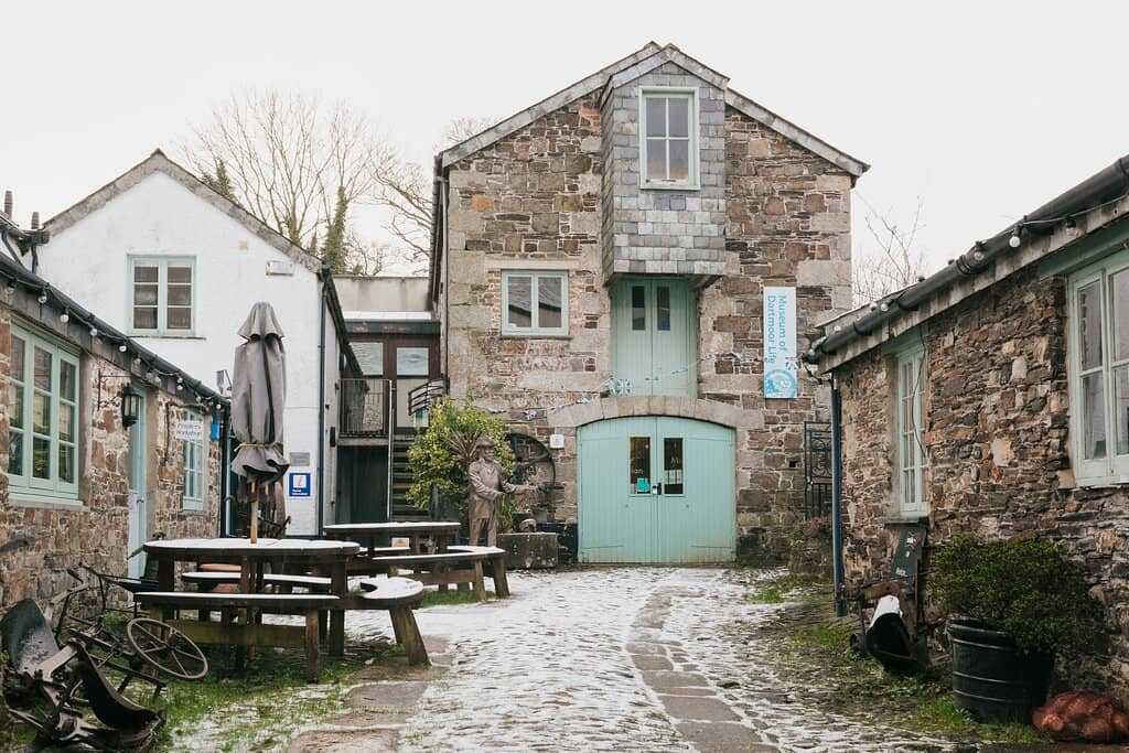 Dartmoor's Hidden Rainforests