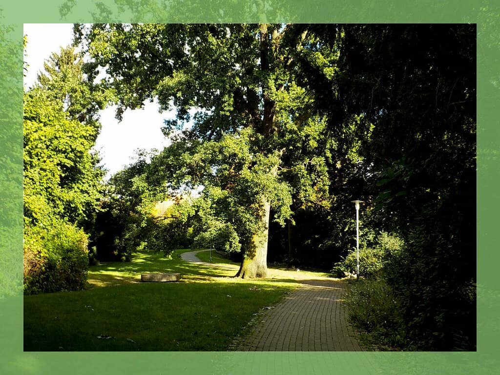 Sports & Recreation Zones