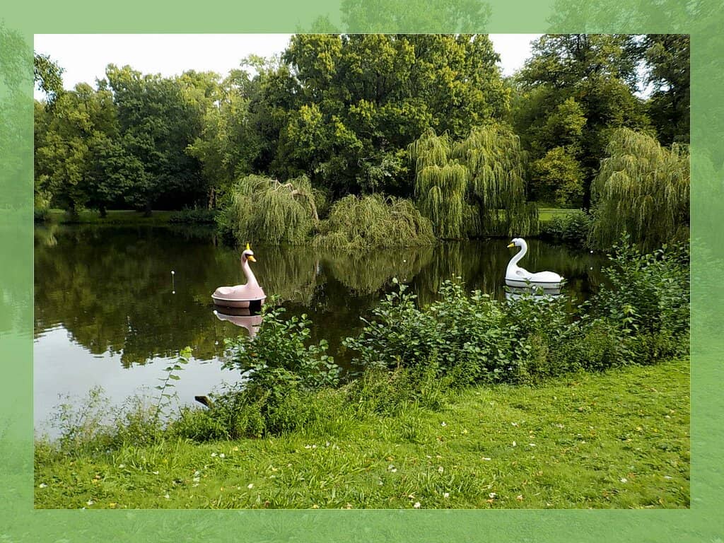 Serene River & Walking Paths