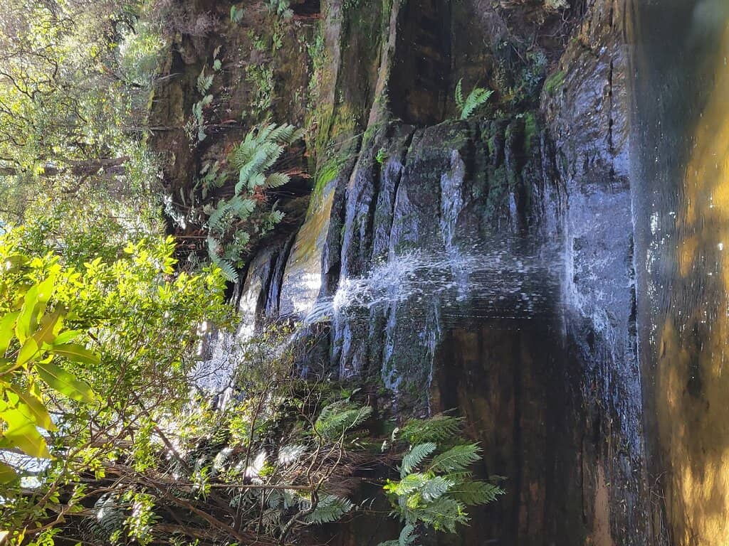 Jamison Valley Vista