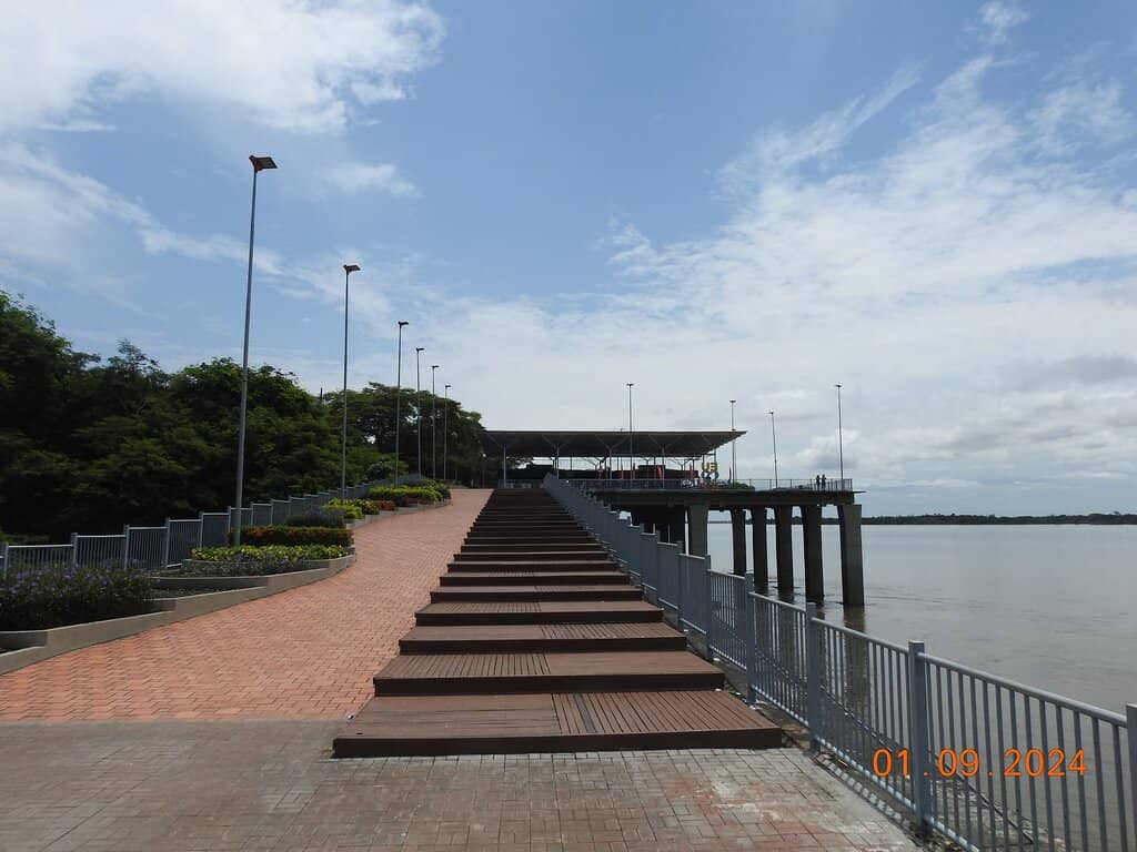 Vibrant Murals & Art