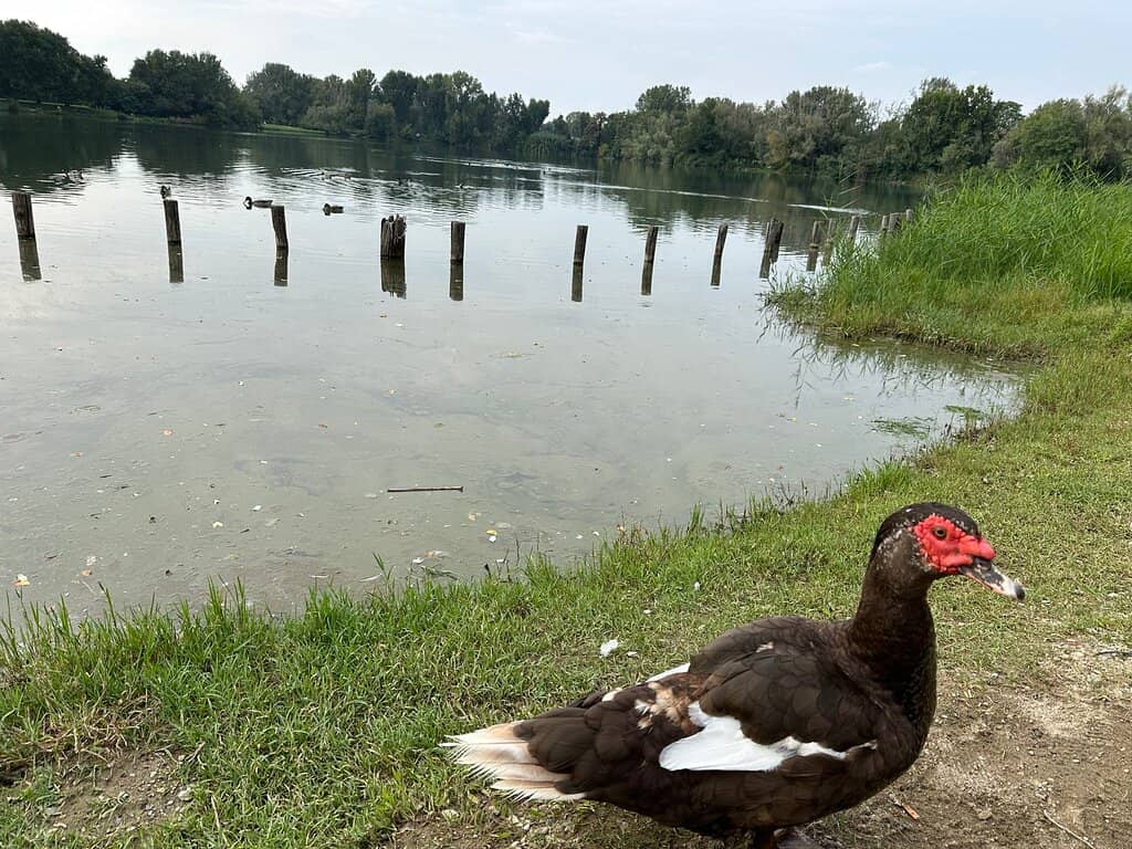 Sauna and Steam Rooms