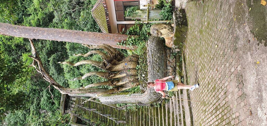 Nature Trail and Bridge