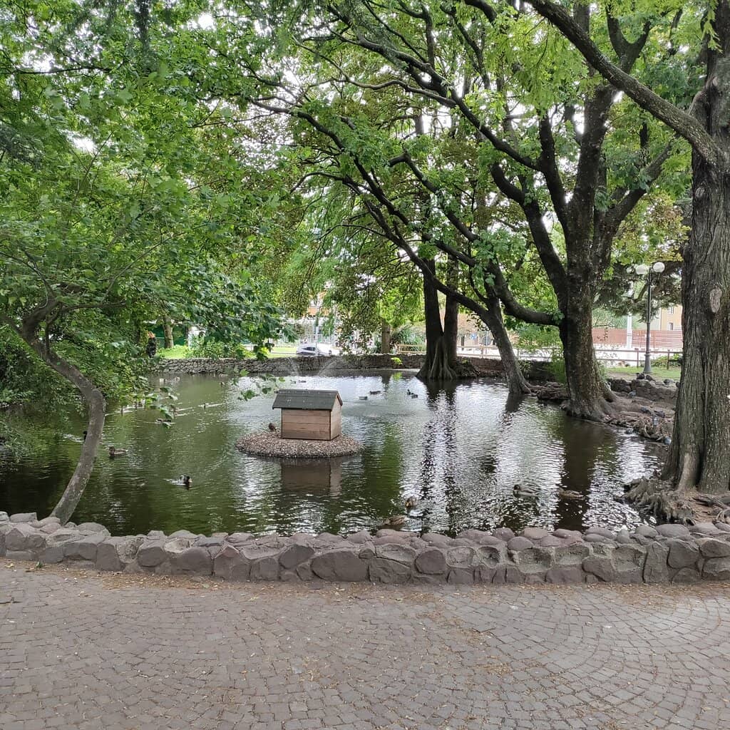 Pedestrian and Cycling Paths