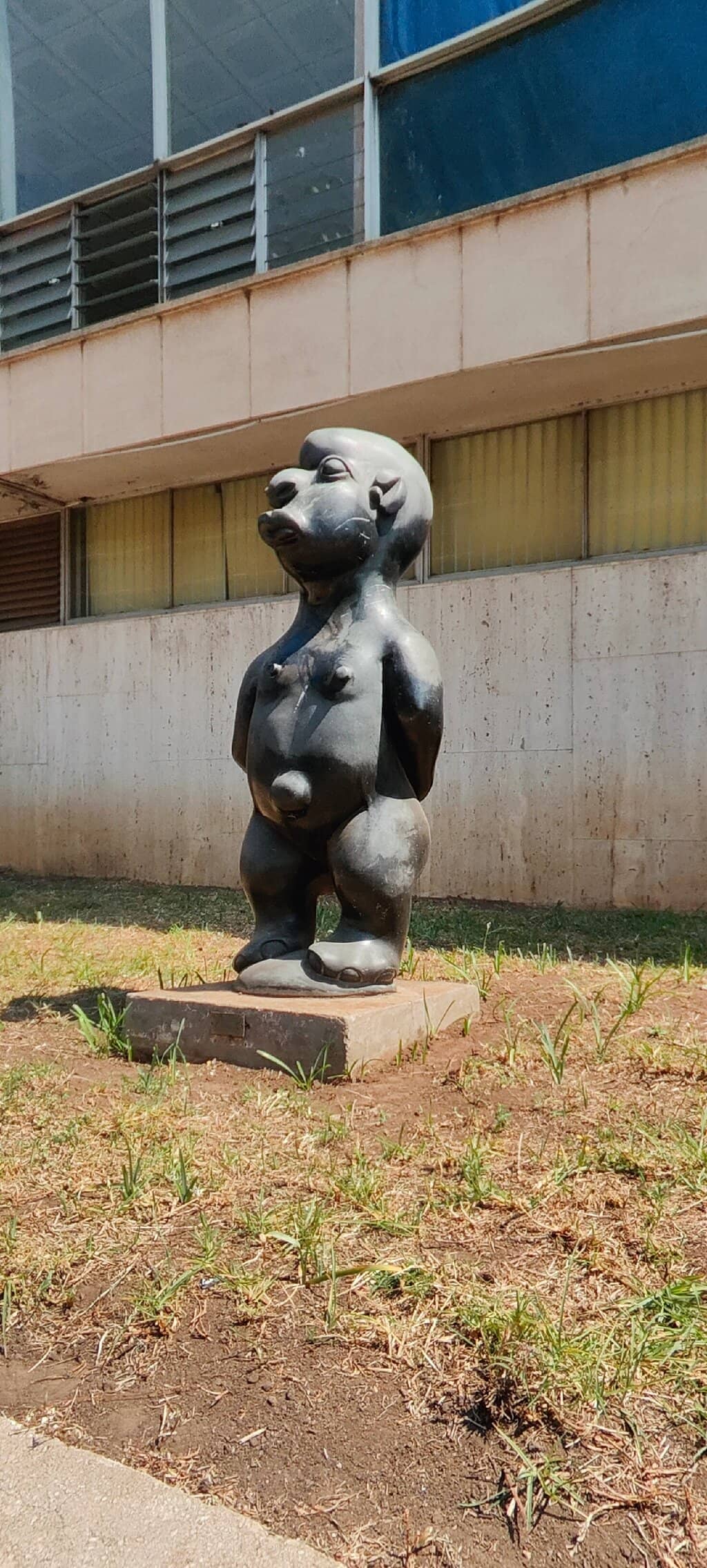 Local Artist Showcases