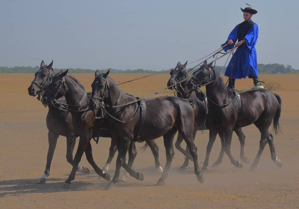 The Great Hungarian Plain