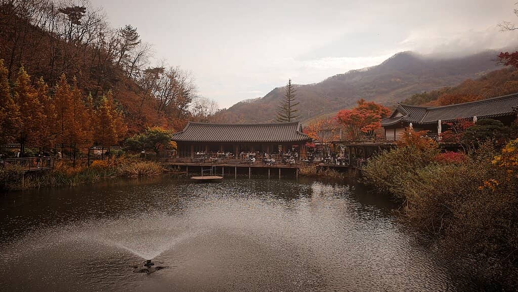 Monorail Scenic Ride