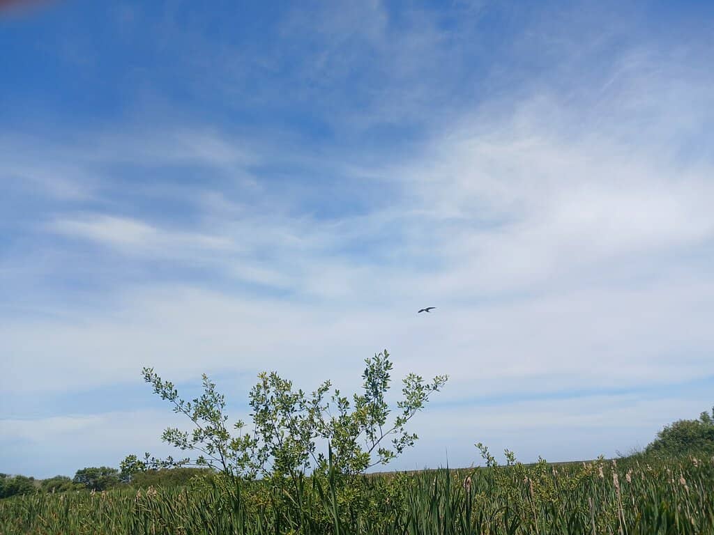 Visitor Center Exhibits
