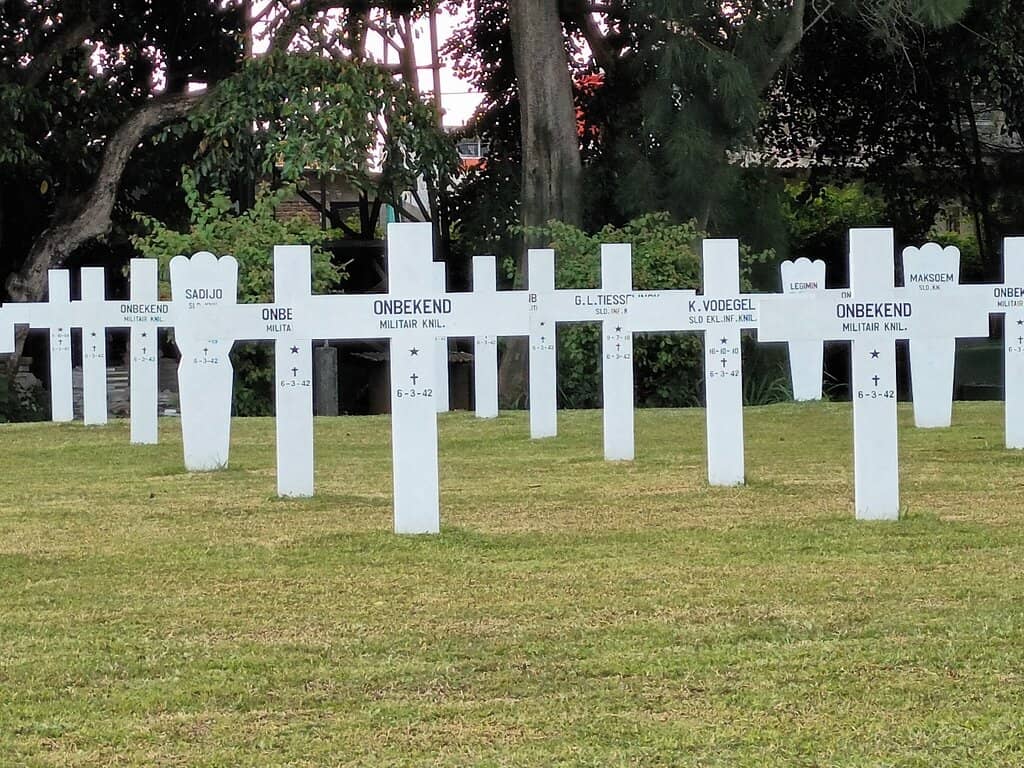 Sunflowers and Serenity
