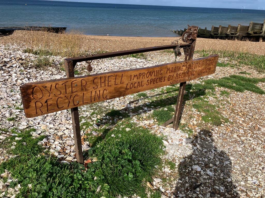 Seaside Dining & Drinks