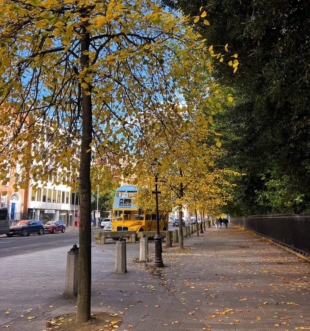 Delicious Afternoon Tea Spread