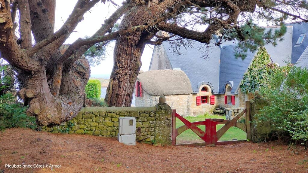 Tranquil Chapel Interior