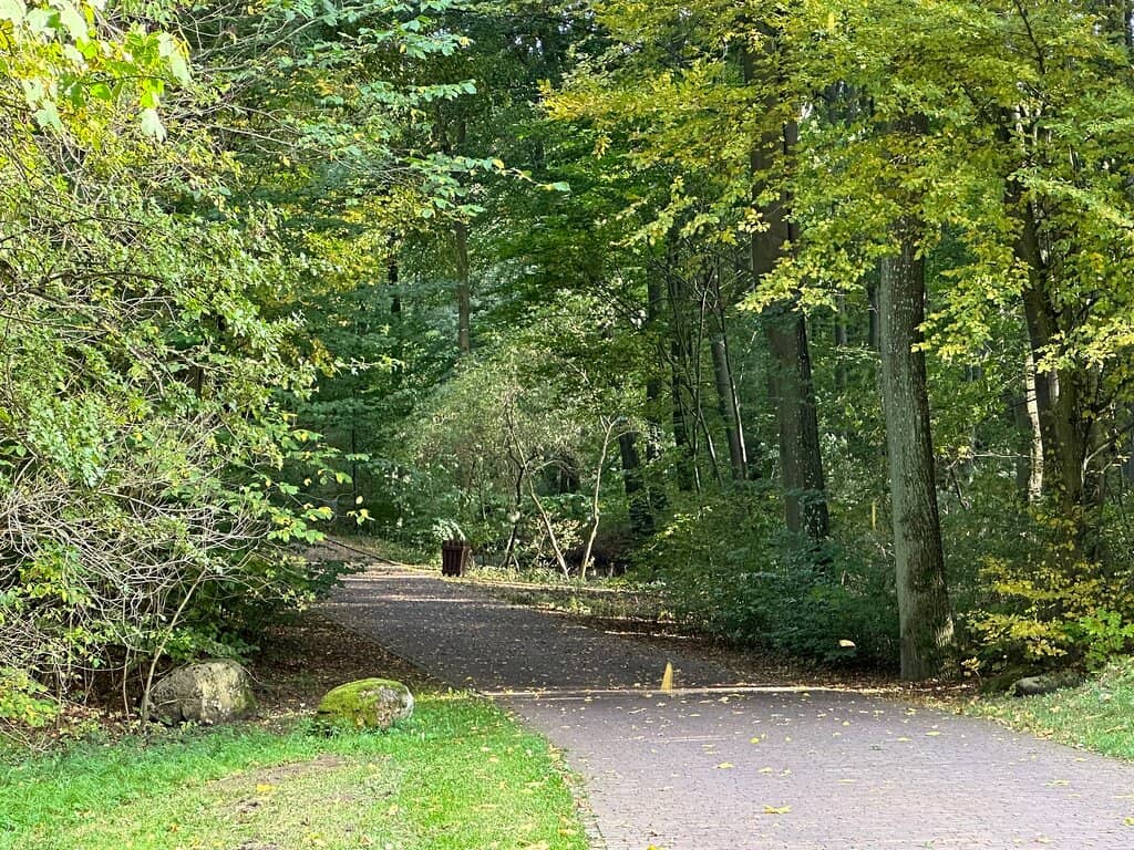 Scenic Mountain Path