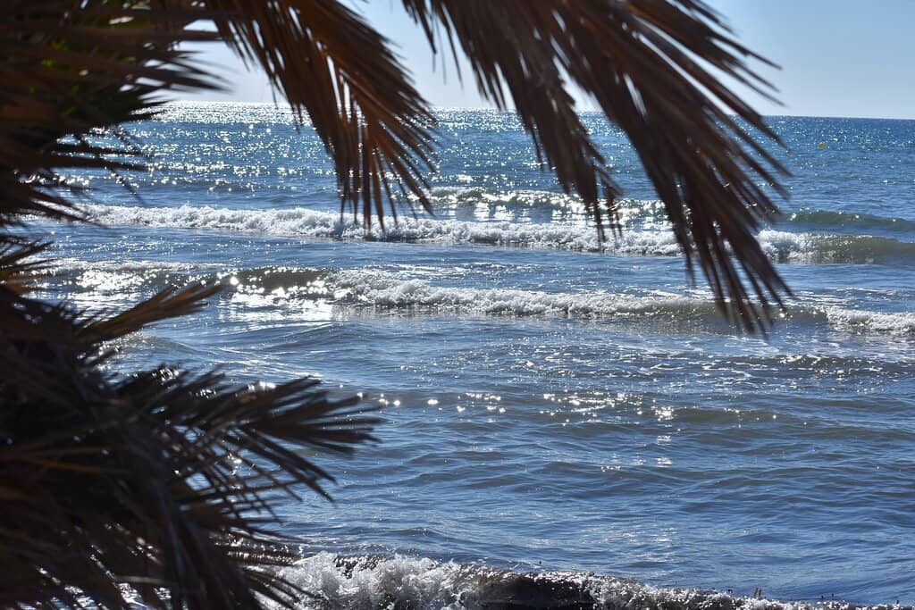 Unique Black Sand Shores