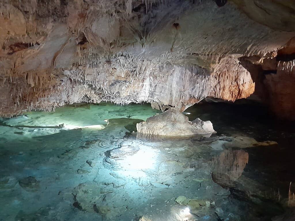 Archaeological Insights