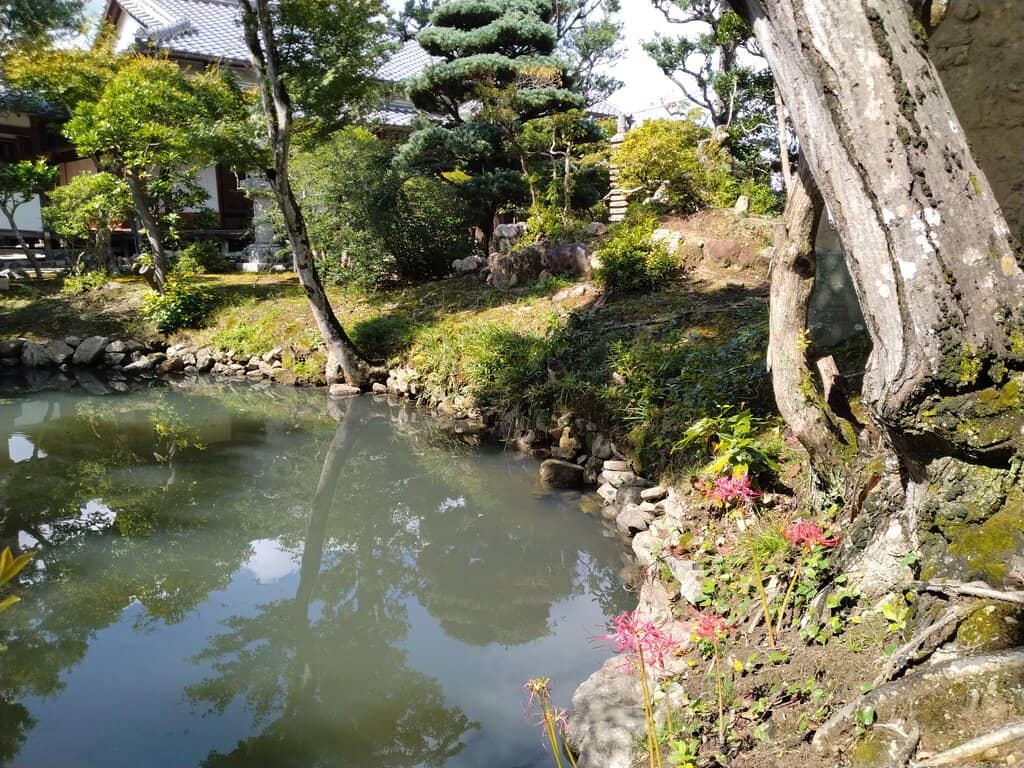 Tranquil Temple Grounds