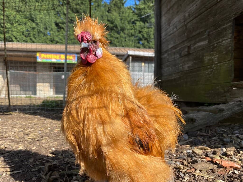 Festive Themed Events