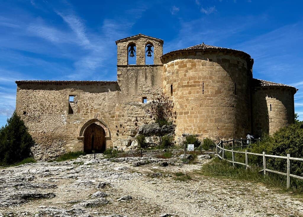Griffon Vulture Colony